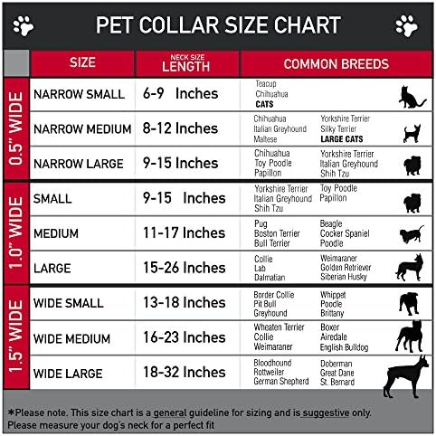 Guler de câine martingale cu cataramă - Siluete prințese puncte negru/violet/gri/multi culori - 1,5 lățime - se potrivește cu 16-23 dimensiunea gâtului - mediu