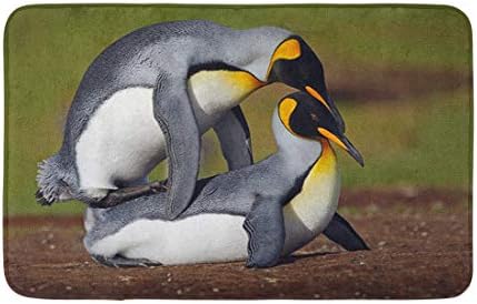 Decor de baie Topyee 16 X 24 covor de baie împerecherea pinguinilor rege Verde Insulele Falkland scena faunei sălbatice din