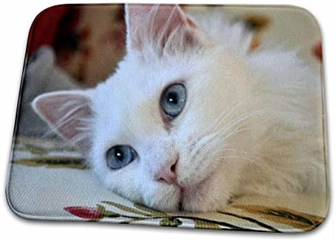 3drose relaxat Van Cat-pisica alba, pisica van, pisica van turcesc. - Covorașe De Uscare A Vaselor