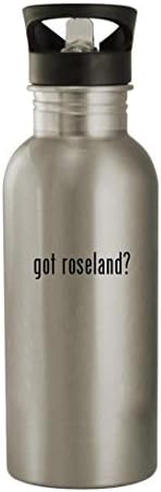 Cadourile Knick Knack au Roseland? - Sticlă de apă din oțel inoxidabil 20oz, argint
